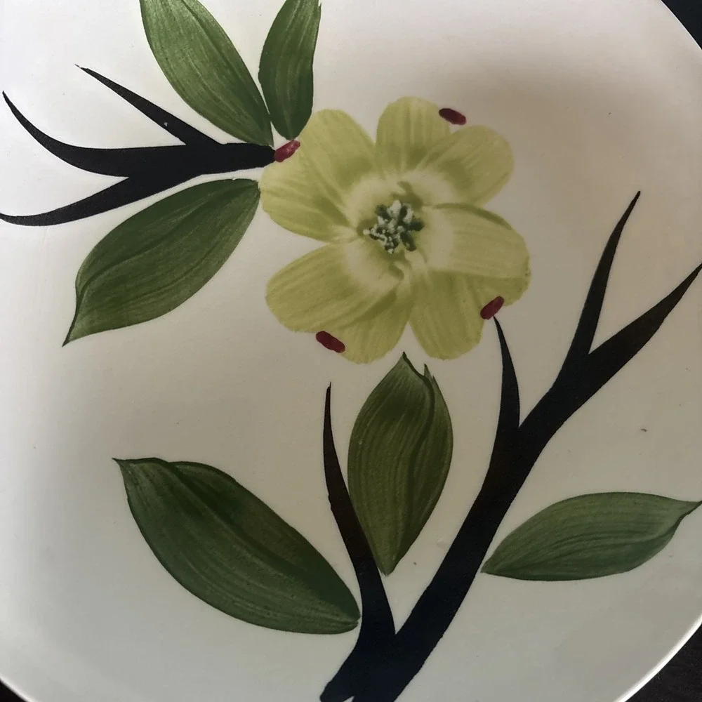 Dixie Dogwood Joni‎ China Ceramic Coupe Soup Salad Pasta Serving 8